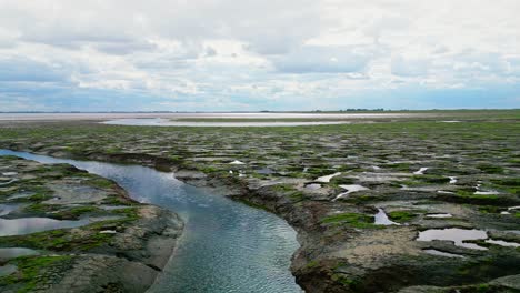 cracked mud flats in a salt marsh