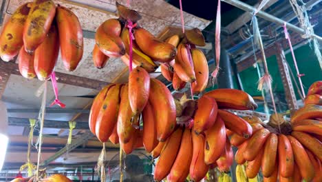 camera pans across bunches of red and yellow bananas suspended in a vibrant singapore market, under bright artificial lighting with a lively, colorful atmosphere