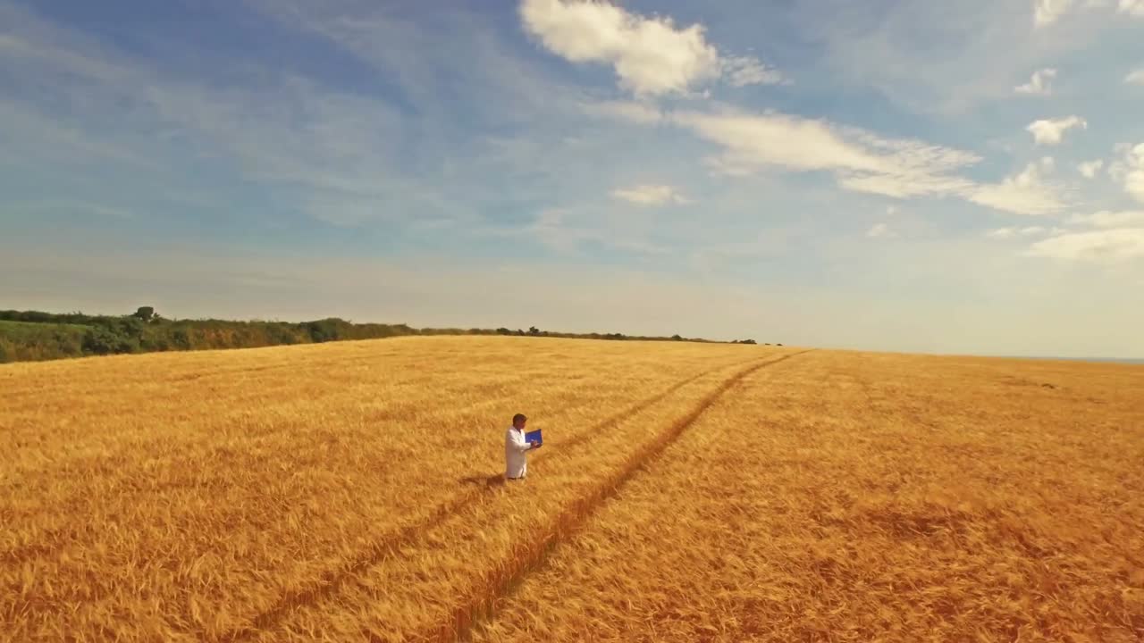vista aérea de un agricultor caminando por sus campos