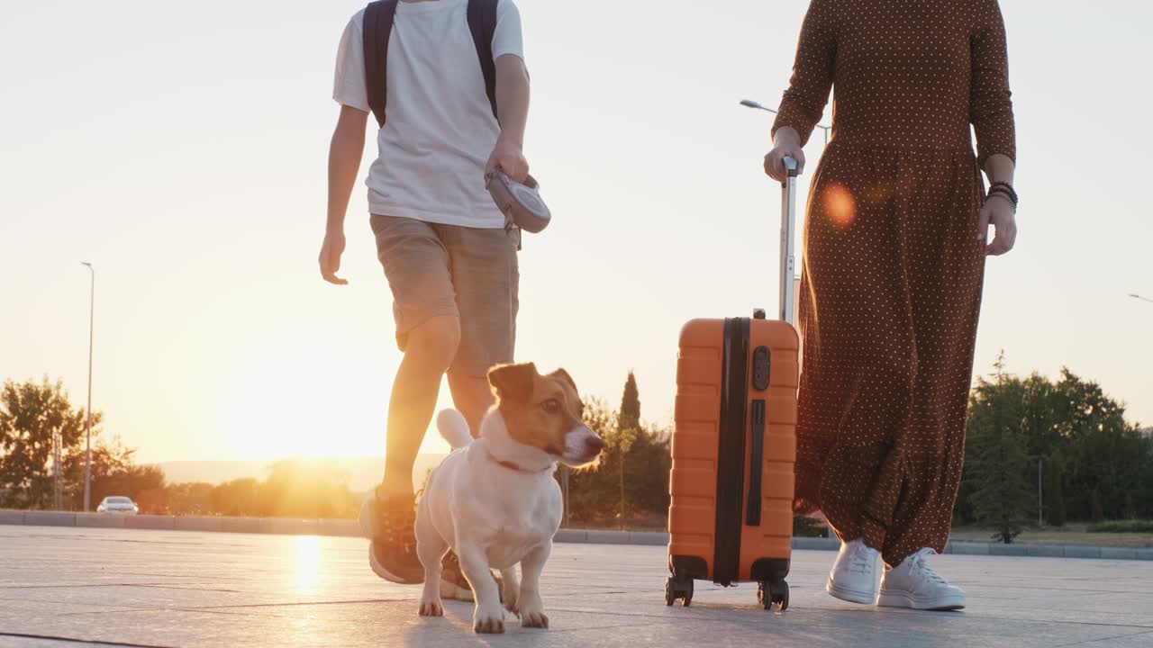 niño feliz, mujer con una maleta naranja en vestido largo y perro jack russell caminando a lo largo de la terminal del aeropuerto en lente llamaradas puesta de sol en verano en cámara lenta. familia va de viaje. viaje. turismo