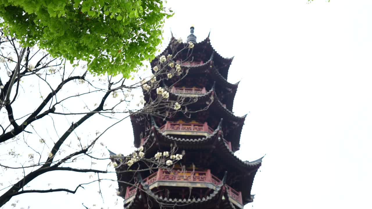 Lav engel af den hældende pagode i Longhua-templet sløret bag et træ med grønne blade under grå himmel, Shanghai, Kina