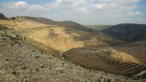 panoramic view of an arid mountain valley with olive groves