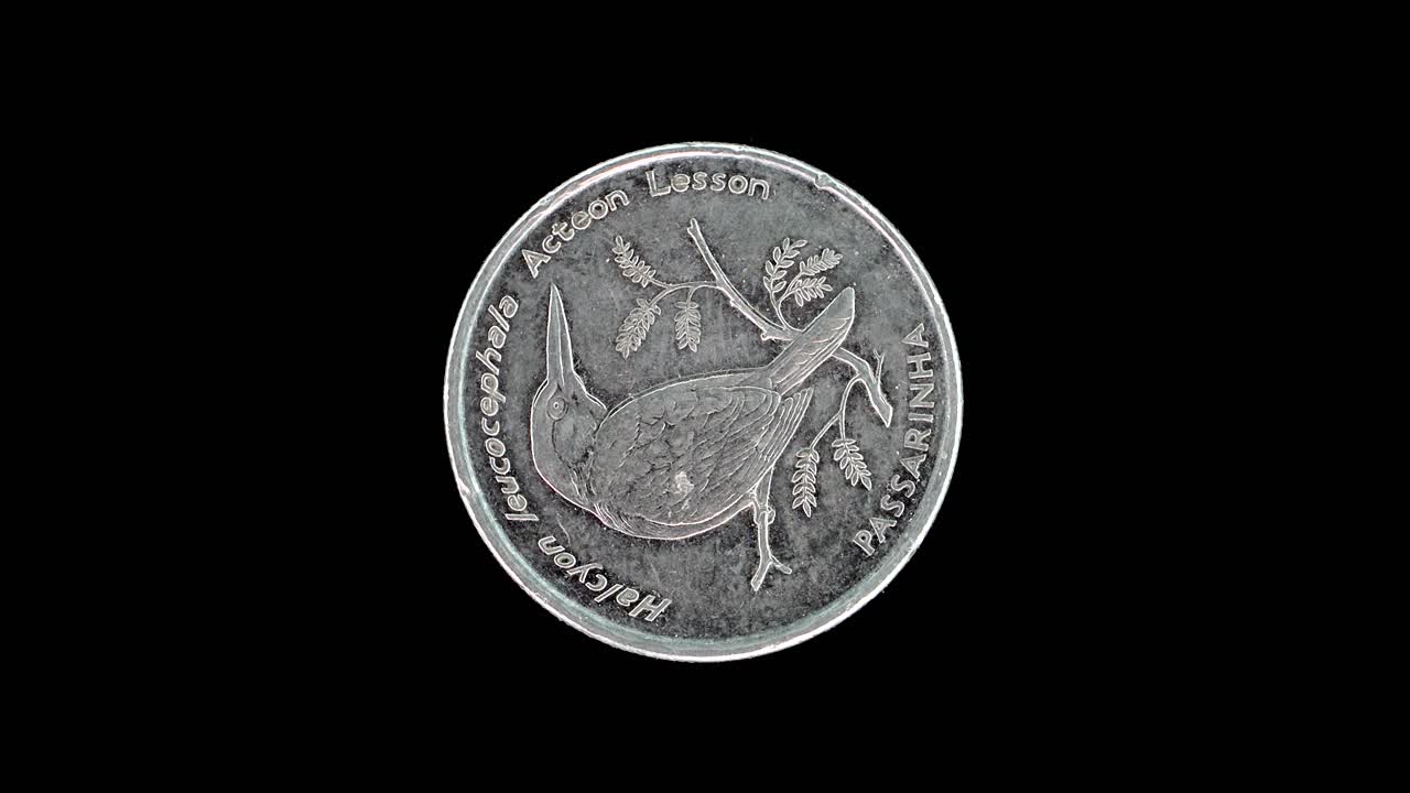 Cape Verde 1994 10 escudos coin reverse with Grey-headed Kingfisher bird design rotating on black background