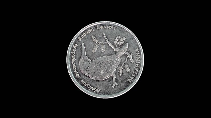 Rovescio della moneta da 10 escudos di Capo Verde del 1994 con il disegno di un martin pescatore testagrigia che ruota su sfondo nero