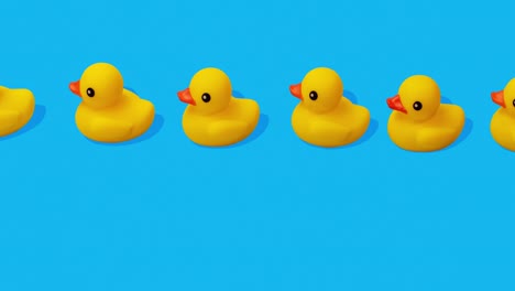 Patos-De-Goma-Amarillos-Nadando-En-Una-Fila-Cercana-En-El-Movimiento-De-Parada-De-Fondo-Azul