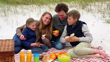 happy family having a picnic on the beach