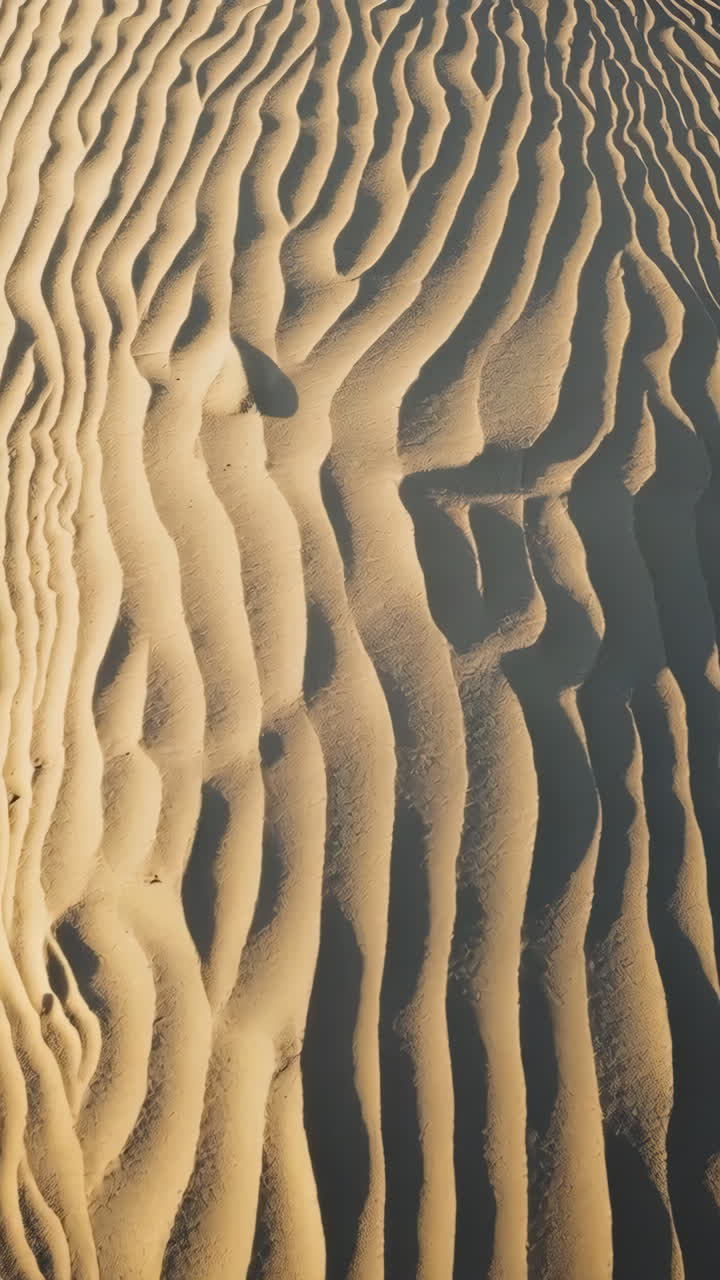 Abstract Patterns of Sand Dunes
