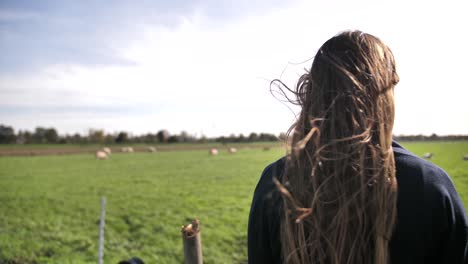 a young brunette woman is standing in the strong wind, watching the sheep on the green fields during a sunny day in the netherlands