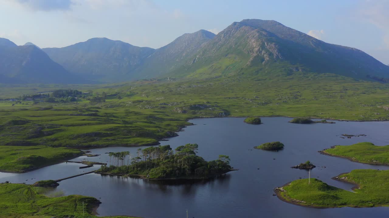 сосновый остров, озеро дерриклар, коннемара, графство галуэй, июль 2021 года