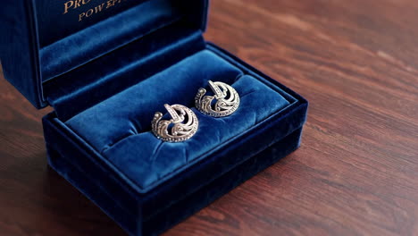 elegant silver earrings in a blue velvet box