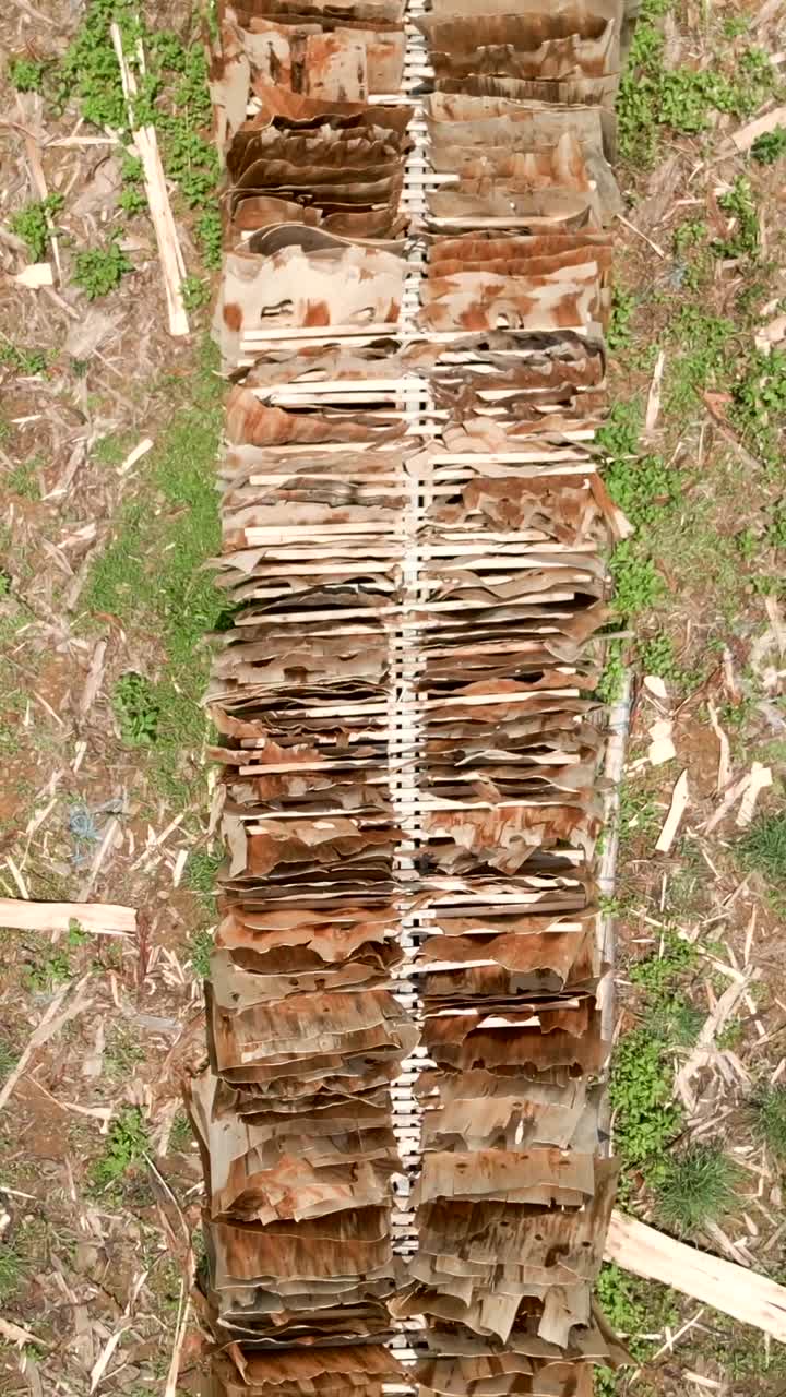 Stacks of wood planks and lumber