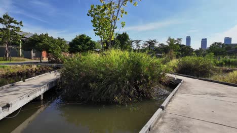 benjakitti park bangkok thailand outdoor nature retreat southeast asia