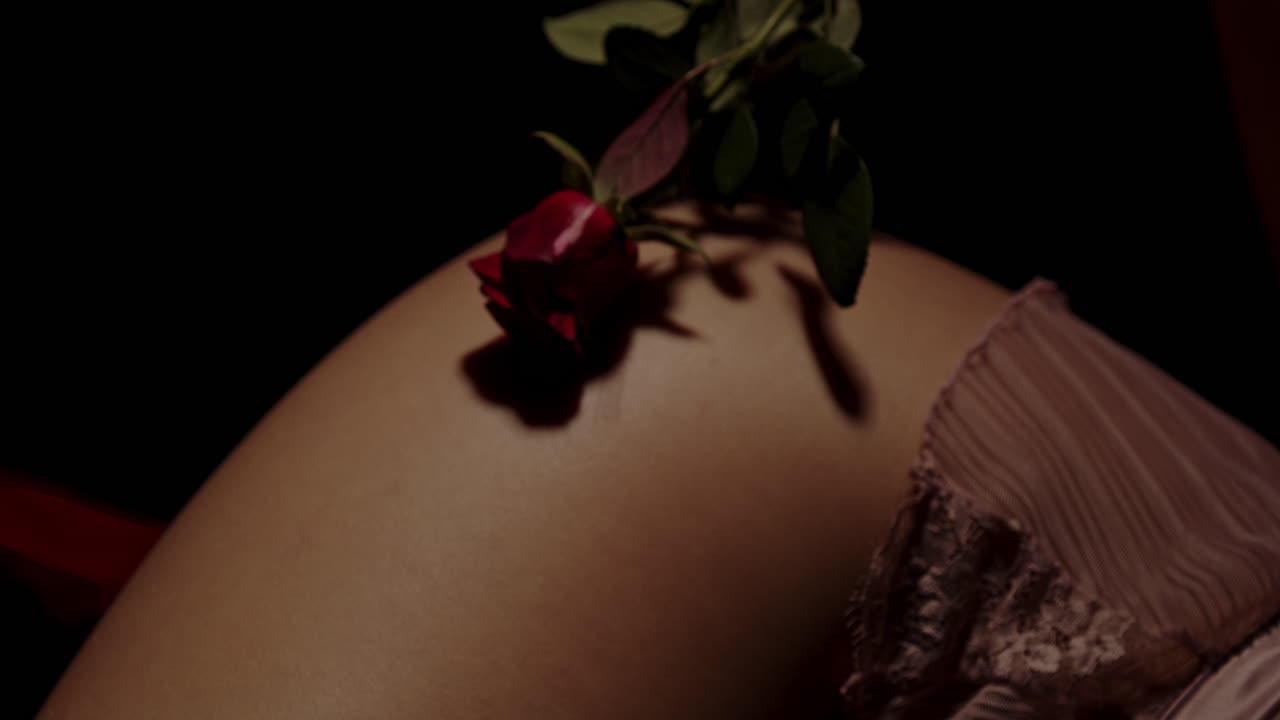 Close up of a red rose sensually caressing the thigh of an attractive woman lying in a dark room in slow motion
