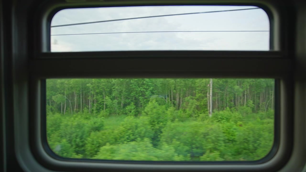 View from a Train Window of a Green Forest and Power Lines