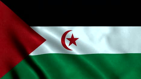 4k seamless loopable flag of sahrawi arab democratic republic