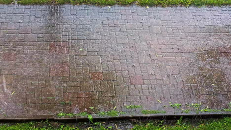 rain falls on a stone pedestrian walkway, captured from a striking top-down perspective