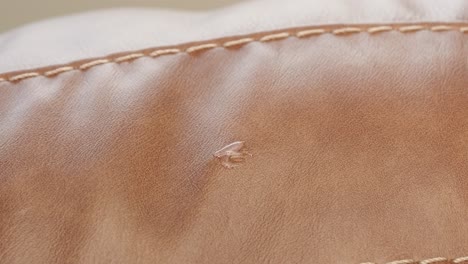 glue bonds cut while heat gun cures and cloth smooths repair on brown leather