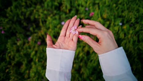 holding a delicate pink flower