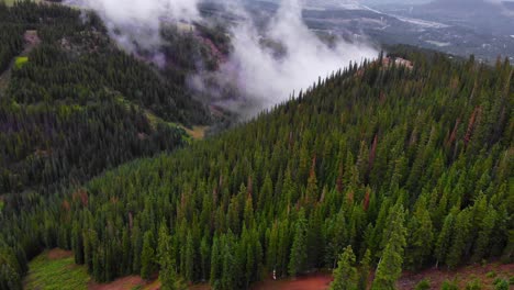 Lush-Green-Alpine-Pine-Trees-On-Mountain-Side-In-Valley-In-Rocky-Mountains,-Colorado,-USA