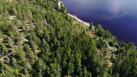 aerial drone shot of slowly flying over hill with dense forest and blue water of the lake in the corner