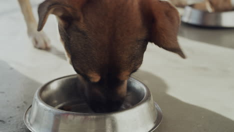 he loves his breakfast