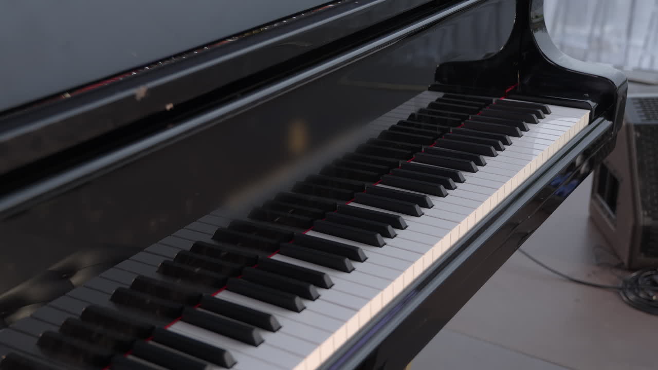 블랙 그랜드 피아노 키 클로즈업