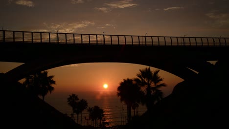 Beautiful-sunset-and-palms-view-from-under-a-bridge