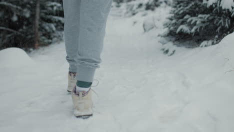 persona caminando por un bosque nevado