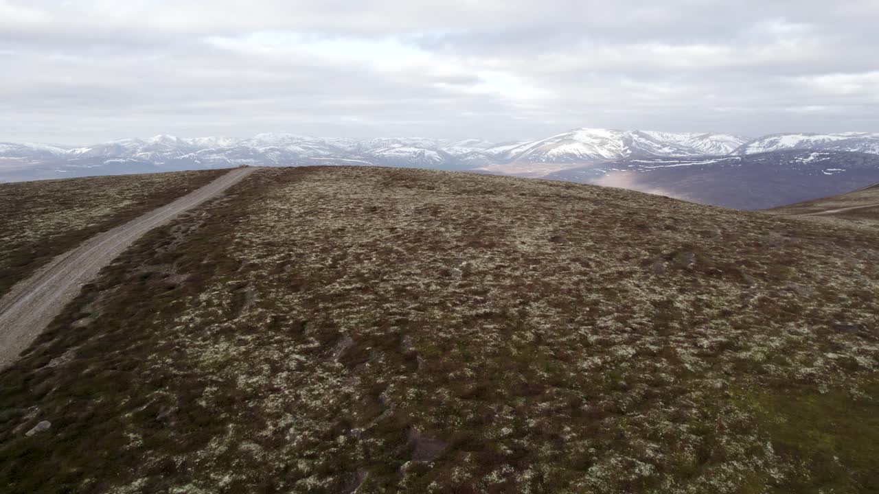 Filmagem aérea cinematográfica de drone voando rápido sobre urze selvagem, charneca de tetrazes e urzal de líquenes, revelando uma paisagem montanhosa com manchas de neve e nuvens