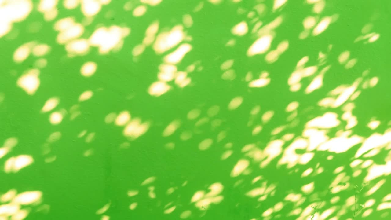 pared de cemento verde n bokeh rayo de luz solar o sombra de luz solar