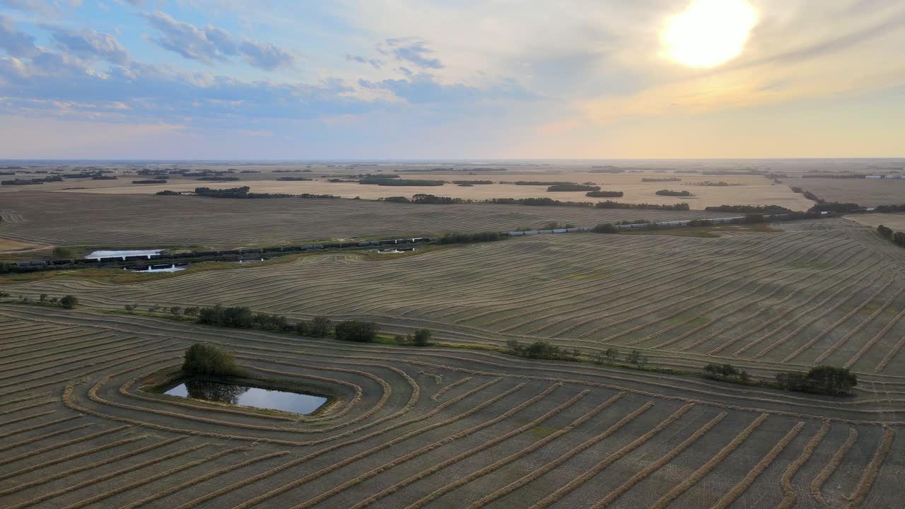 Dronekuvaa puidun vehnäpellon yllä kohti kaunista auringonlaskun horisonttia Albertassa, Kanadassa