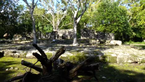 Oratorio-Privado-De-élite-Y-Residencia-En-San-Gervasio,-Sitio-Arqueológico-Maya,-Cozumel,-México