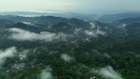 vista aérea distante de una densa vegetación de selva tropical montañas y nubes de niebla vistas aéreas de munnar kerala india
