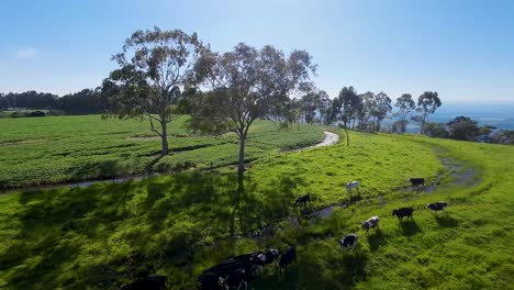 spinning at rural landscape in countryside scenery