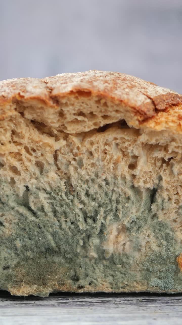 Primo piano di pane ammuffito che mostra il decadimento fungino