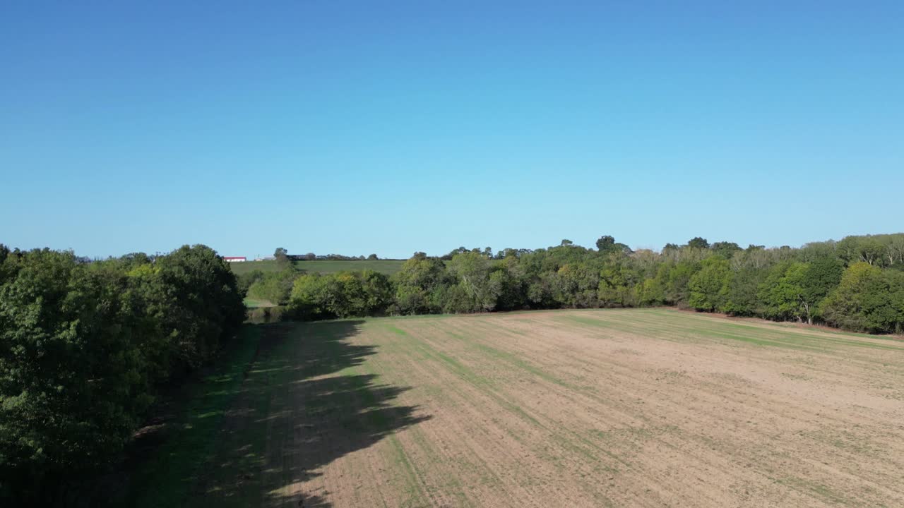 vista vertical de un campo de hierba en crecimiento con un río y un cielo azul sin nubes