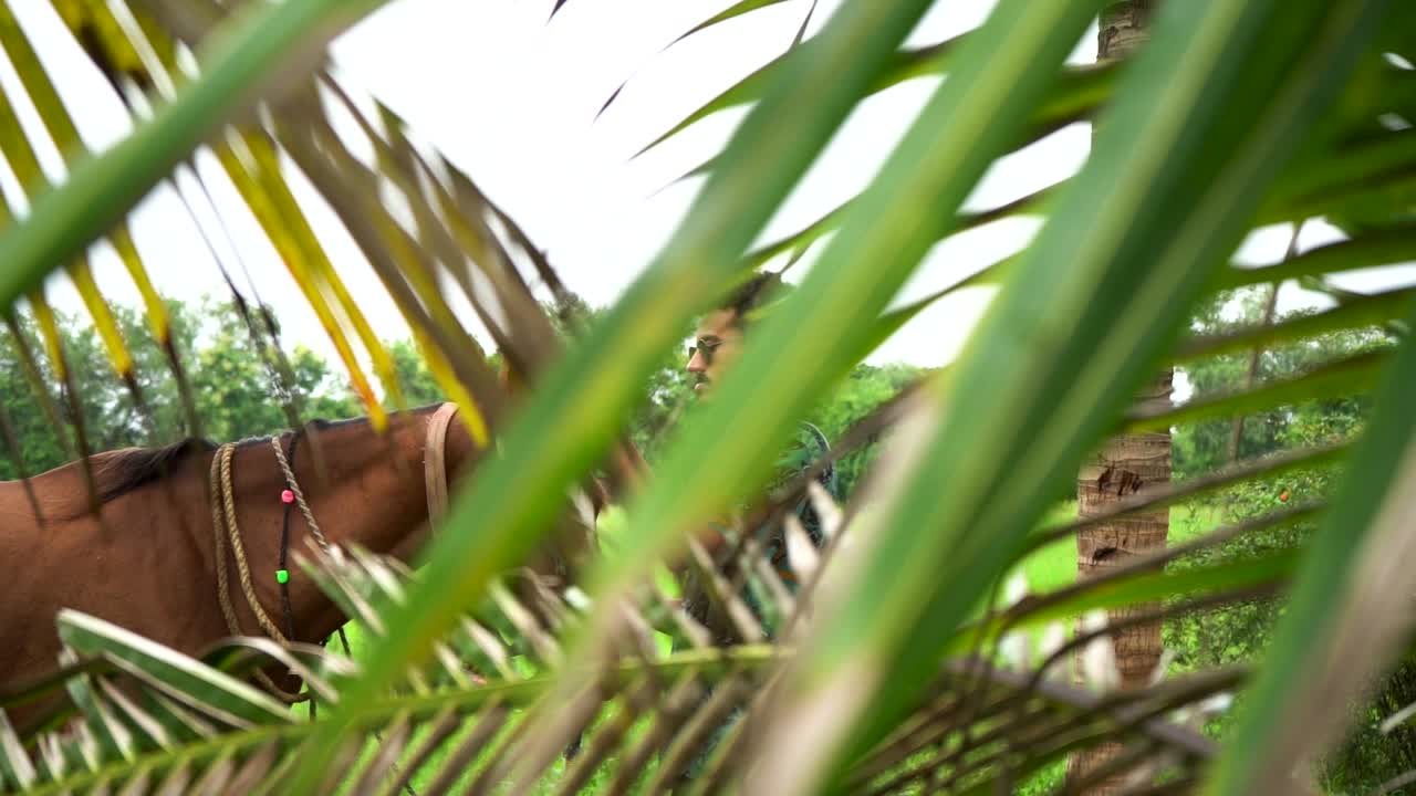 joven guapo con caballo marrón