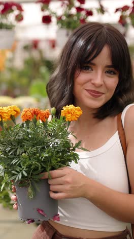 gardener holding marigold flowers in greenhouse. vertical