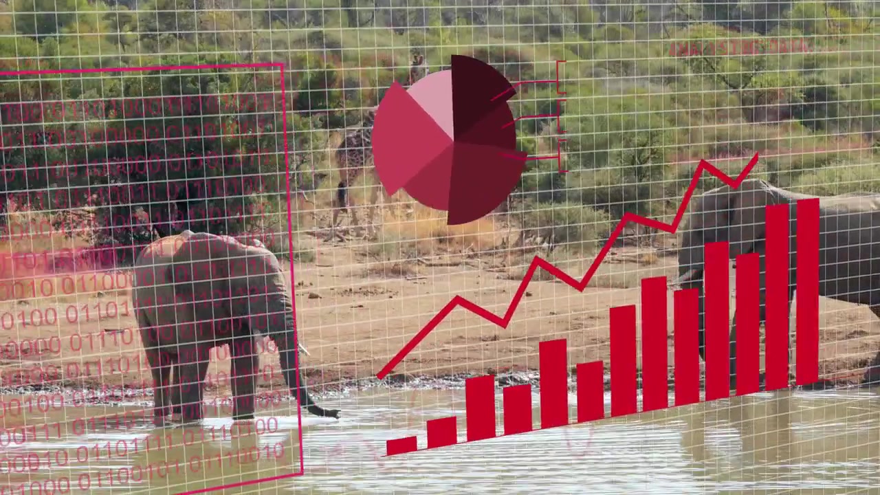 Faint red grid appearing, two elephants entering and wading, red charts growing showing water data