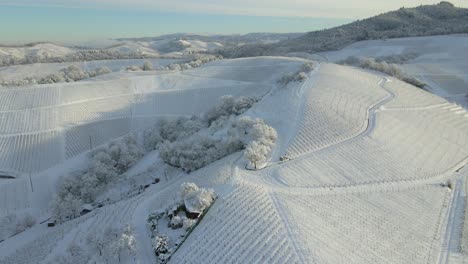 德國奧芬堡附近黑森林的雪地風景葡萄園