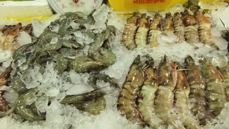 fresh shrimp on display at market