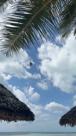 el paraíso de las playas tropicales