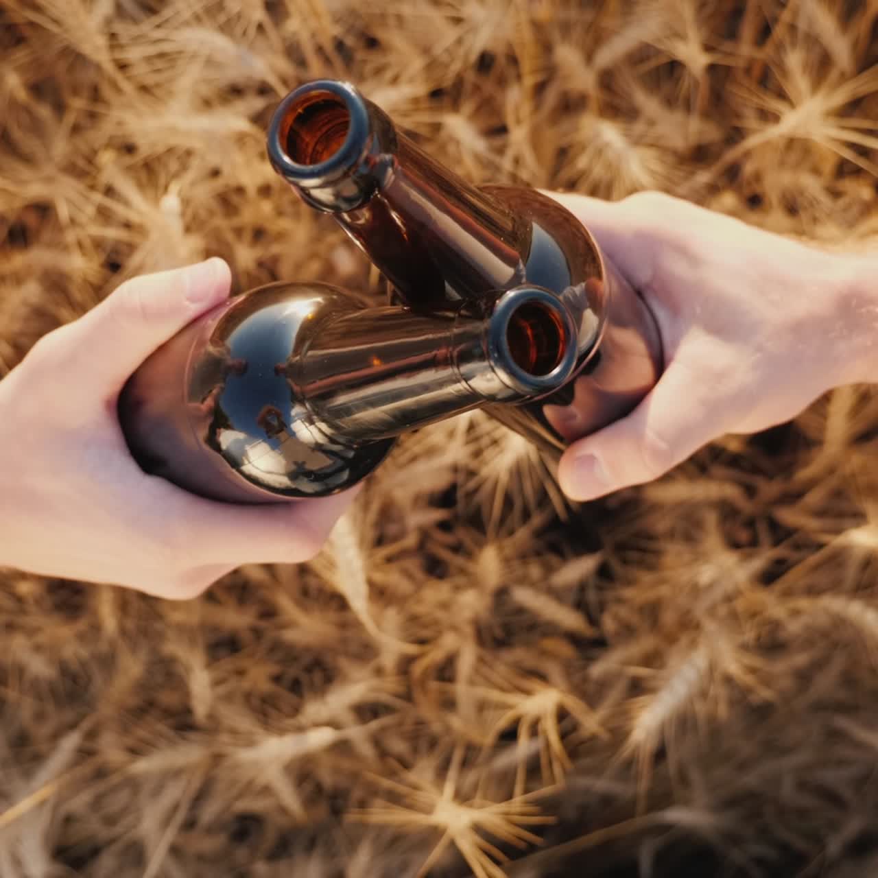 bebiendo cerveza en un campo de trigo 1