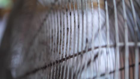 primer plano de un ventilador girando a cámara lenta con una rejilla blanca, sucia y oxidada para protegerlo