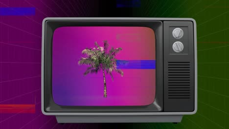 retro television with palm tree on screen with sizzle