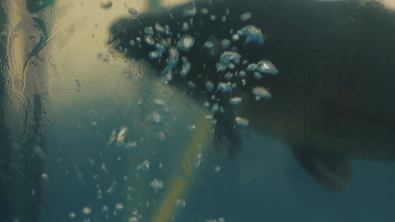 수족관의 벽을 안개로  ⁇ 었습니다.