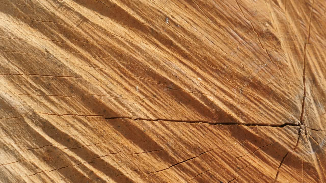 sartén lento en la textura de troncos de árboles de leña hechos con división 4k