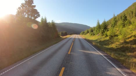 Tier-Auf-Der-Straße.-Autofahren-Auf-Einer-Straße-In-Norwegen.-Rammböcke-Versperrten-Dem-Verkehr-Den-Weg.