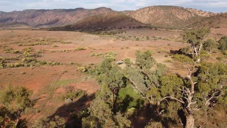 Disparo-De-Un-Dron-Que-Muestra-Un-Campamento-Entre-árboles-De-Goma-Y-Tierra-Roja-En-La-Cordillera-Flinders,-En-El-Sur-De-Australia