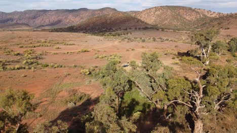 fotografía de un avión no tripulado que muestra un campamento entre árboles de goma y tierra roja en las cordilleras de flinders, australia del sur